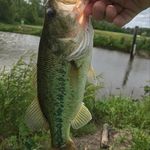 Jesse McCarter - @jesse_mccarter_16 - Instagram