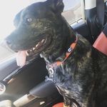 Jesse Mccray - @jmccray41 - Instagram