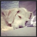 Jesse James McFadden - @jesse_james_mcfadden - Instagram