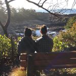 Jesse McGillis - @jessemcgillis - Instagram