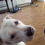 Jesse McGraw - @jesse2141980 - Instagram