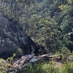 Jesse McKinnon - @rewild_bushwalking - Instagram