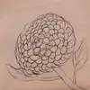 Jesse McManus287 - @kusa187 - TikTok