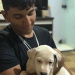 Jessé Mercer - @jesse_mercer_19 - Instagram