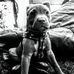 Jess Messenger - Facebook