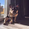 Jesse Messenger - @jessem2691 - TikTok