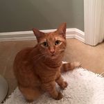 Jesse - @jessemiley14_ - Instagram