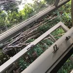 Jesse Aroha Millard - @jesseamillard - Instagram