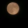 Jesse - @jessemillard3 - TikTok