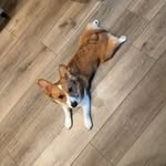 Jesse Mock - @jayjayby133 - Instagram