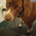 Jesse Morsette - Facebook