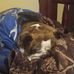 Jesse Monk - Facebook