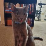 Jesse Morse - @tundramorse - Instagram