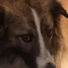 jessemorse79 - @jessemorse79 - TikTok