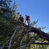 Jesse Mummey - @jessemummey58 - TikTok