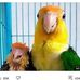 Jesse Munn - Facebook