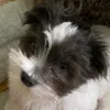 Jessie Neri - @jessien2187 - TikTok