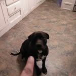 jesse newhouse - @newhousejesse - Instagram