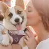 Jess & Nova - @jess.and.nova - TikTok