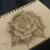 jesse olson503 - @jesseolson53 - TikTok