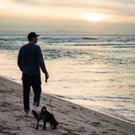 Jesse Olson - @jesseolsoninc - Instagram