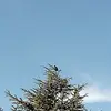 jesseosmer2 - @jesseosmer2 - TikTok