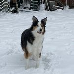 Jessie Otten - @jessie.otten.5 - Instagram