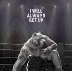 Jesse Palacio - Facebook