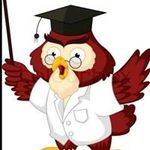 Jesse Palacio - @thewiseowl2 - Instagram