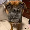 jessepalacio7 - @jessepalacio7 - TikTok