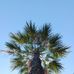 Jessie Mae Parone - Facebook