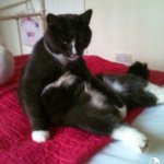 @jesse_patchy_immy - Instagram