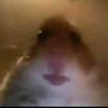 Jesse 2020 1 - @jessepater - TikTok