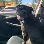 Jesse Penner - @plantman92 - Instagram
