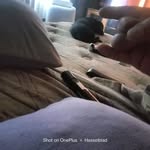 Jesse Perea - @jesse_2040 - Instagram
