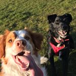 Jesse And Piper - @jesseand_piper - Instagram