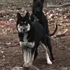 Jesse Piper - @jesse.piper72 - TikTok