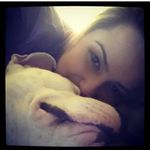 Jesse_the_gentle_pitt - @jesse_thepitbull - Instagram