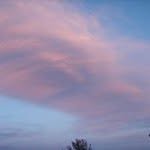 Jesse Plummer - @plummerjesse - Instagram