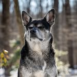 Jesse - @jesse.poteet - Instagram