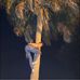 Jesse Proctor - Facebook