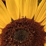 Jessie Provost - @mrs.provost - Instagram