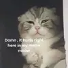 Jesse Pryor - @jessepryor3704 - TikTok