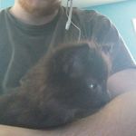 jesse  putnam - @cliff2nightgames - Instagram