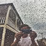 Jesse Reck - @forrest.wanderer - Instagram