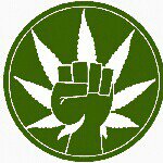 Jesse register - @picofganja - Instagram