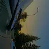 Jesse Rempel - @the_truck_kid06 - TikTok