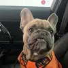 Tyler Jesse Rempel - @tylerjesserempel - TikTok