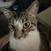 Jesse Renner - Facebook