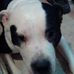 Jesse Rideout - Facebook